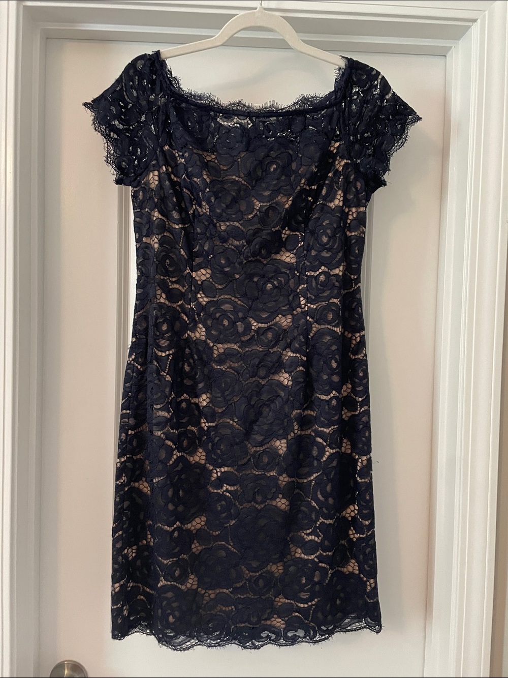 Adrianna Papell Navy Lace Midi Dress with Nude Underlay